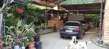 Гостиница "Багира"