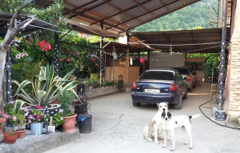 . Гостиница "Багира". Новый Афон