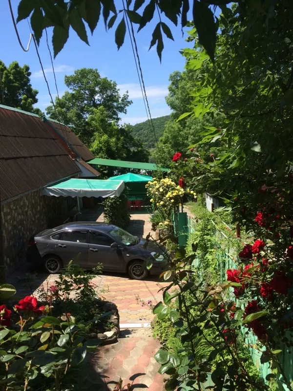 . Частный сектор "Green House" . Джубга