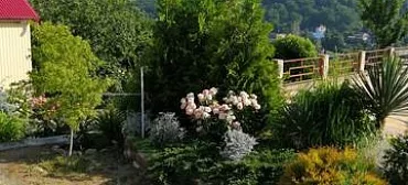 Частный сектор "Клевер" в Новомихайловском