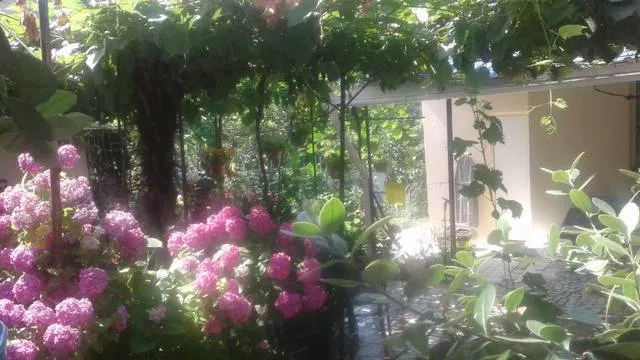 . Дом под ключ на Сибирской. Совет-Квадже