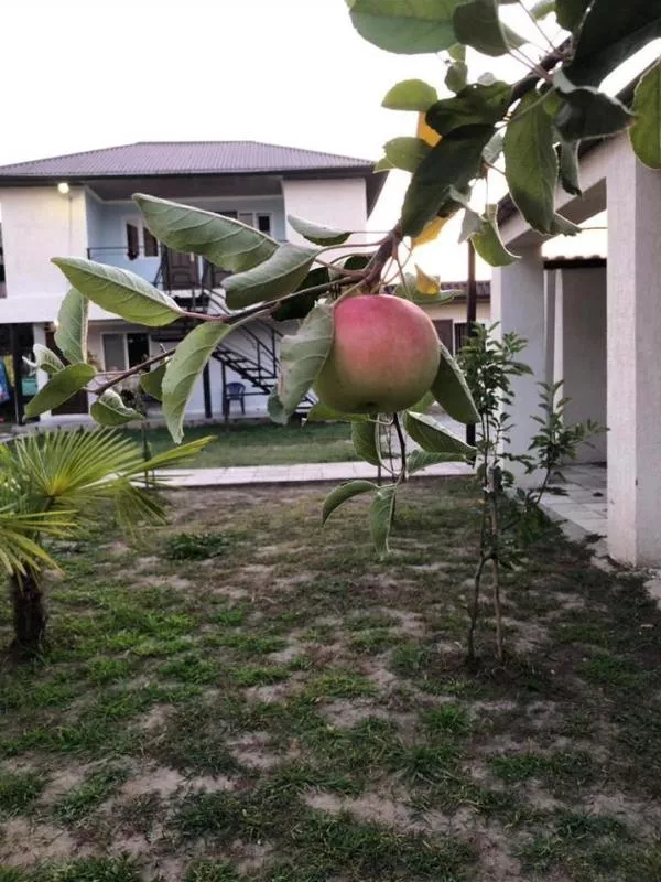 . Гостевой дом Фаворит . Сухум