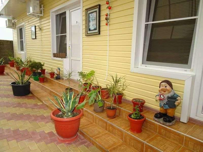 . Гостевой дом "Дарья". Адлер