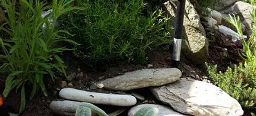 Гостевой дом "Солнечная дача"