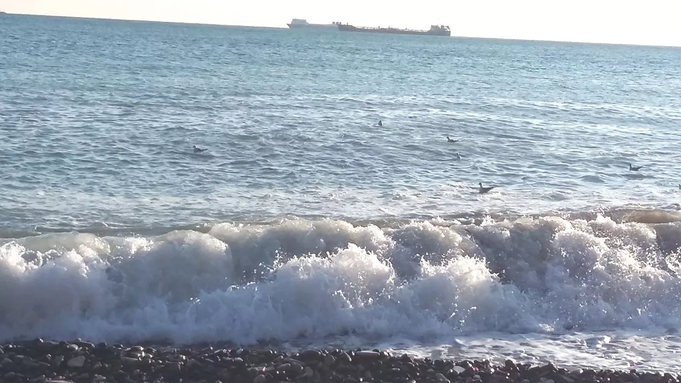 . Отель "Морской Клуб"!. Небуг