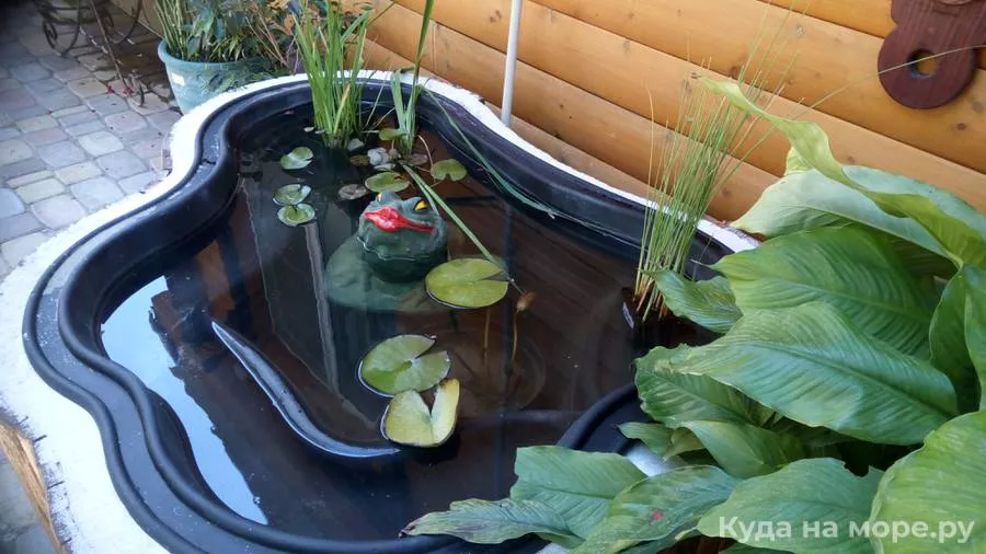 . Гостевой дом «Фламинго». Архипо-Осиповка