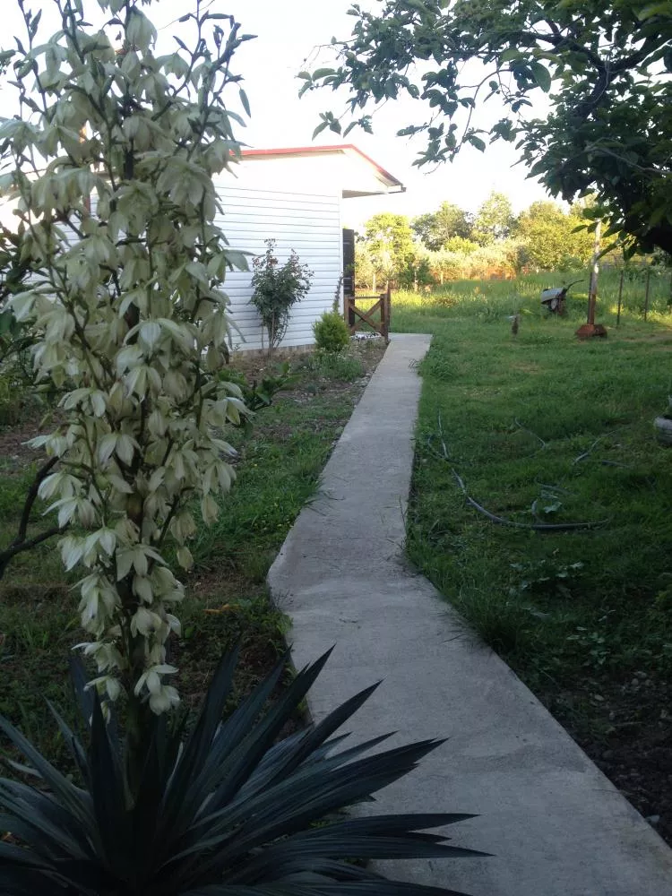 . Гостевой дом "Анита". Пицунда