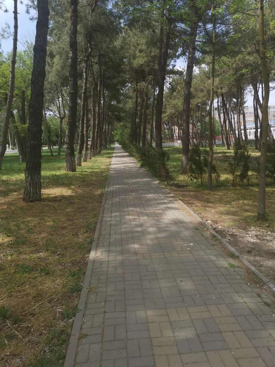 . Апарт-отель "Кавказ". Анапа . Апарт-отель "Кавказ". Анапа