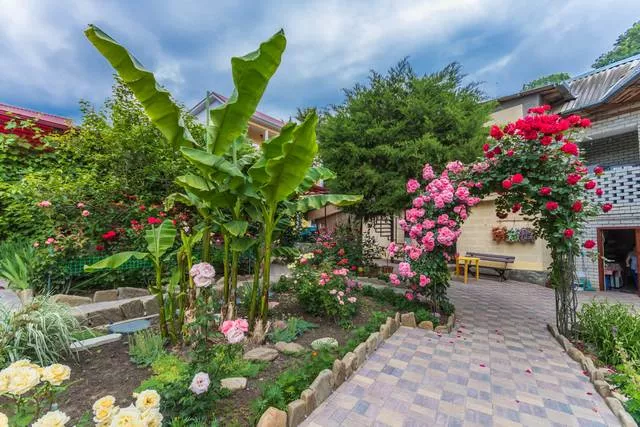 . Гостевой дом "Адель". Джубга