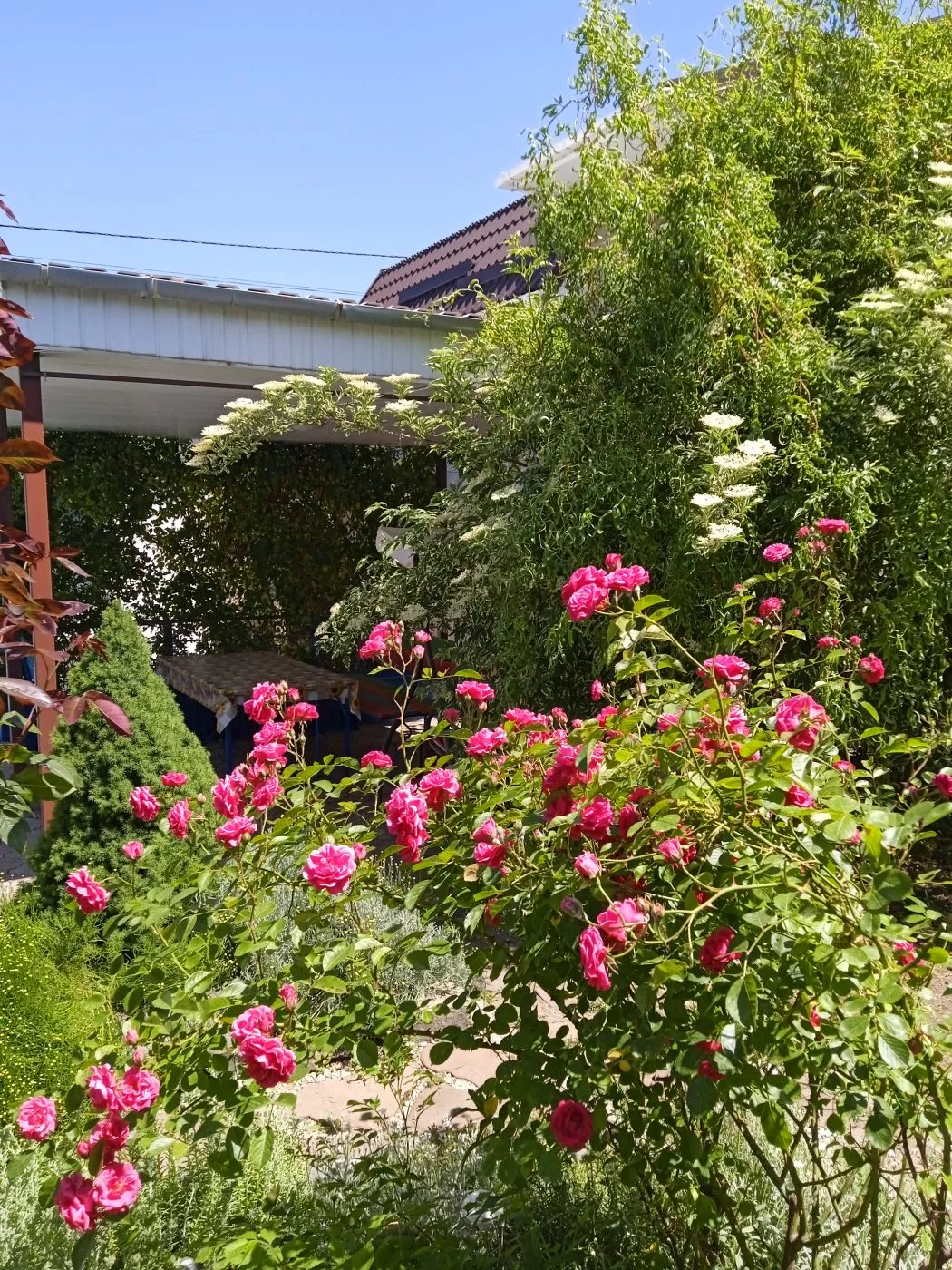 . Гостевой дом "Ирина". Крым - частный сектор