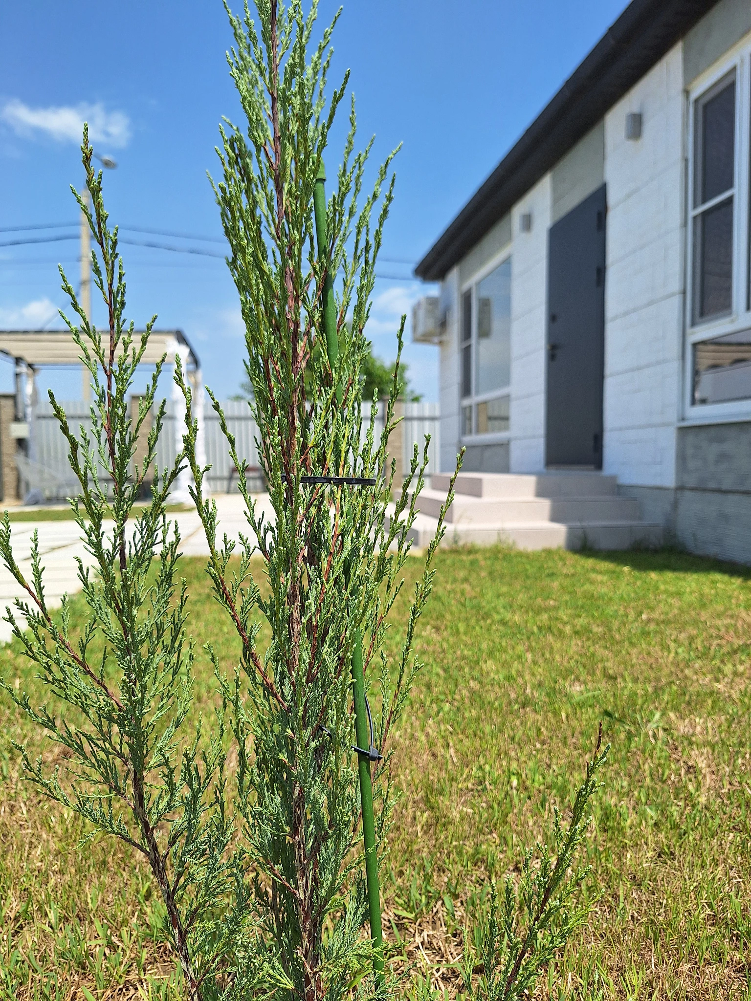 . Коттедж Коттедж Скандинавия Анапа . Анапа