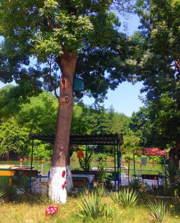 . Дом под ключ Речная 62 в Лермонтово. Лермонтово . Дом под ключ Речная 62 в Лермонтово. Лермонтово