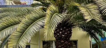 Гостиница "Пижама" 