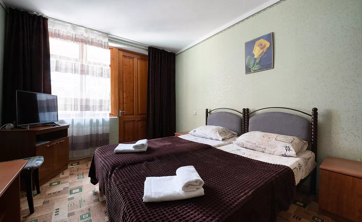 Стандарт Дабл. Отель «Оазис надежды». Адлер