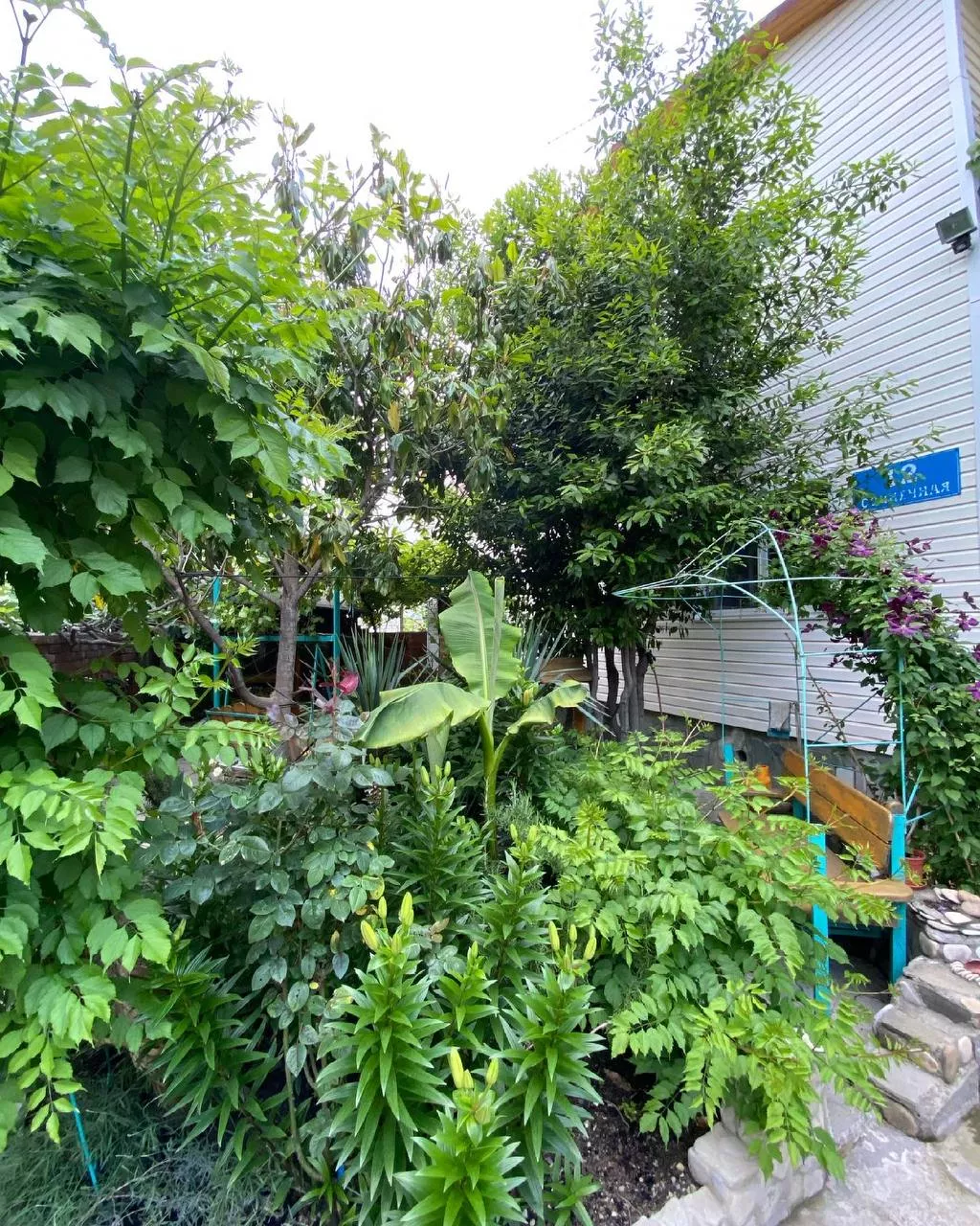 . Гостевой дом "Инжир". Новомихайловский . Гостевой дом "Инжир". Новомихайловский