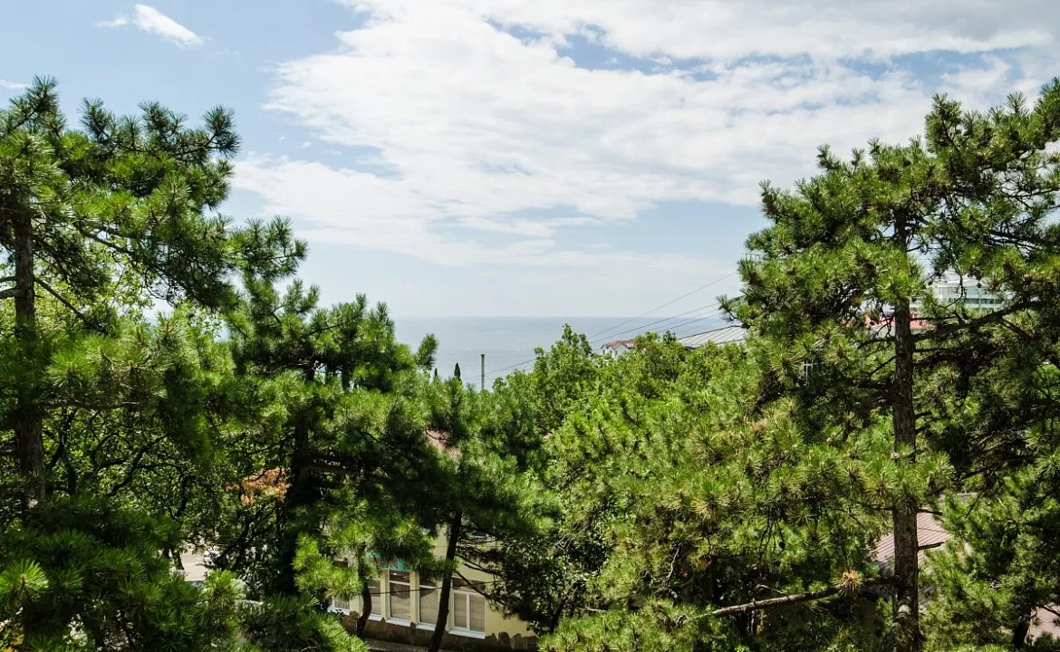 «Апартаменты». Отель Вилла Сосновый бор. Гаспра