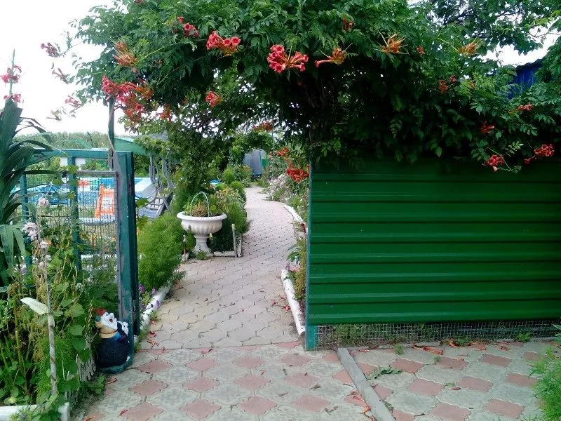 . Гостевой дом "У Ольги" - Должанская. Должанская . Гостевой дом "У Ольги" - Должанская. Должанская