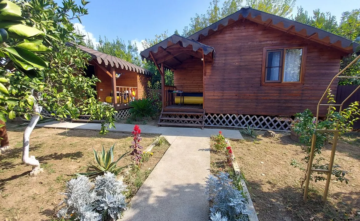 отдельный домик. Гостевой дом КАМЕЛИЯ. Пицунда