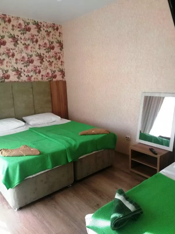 . Частный сектор "Мэри". Адлер