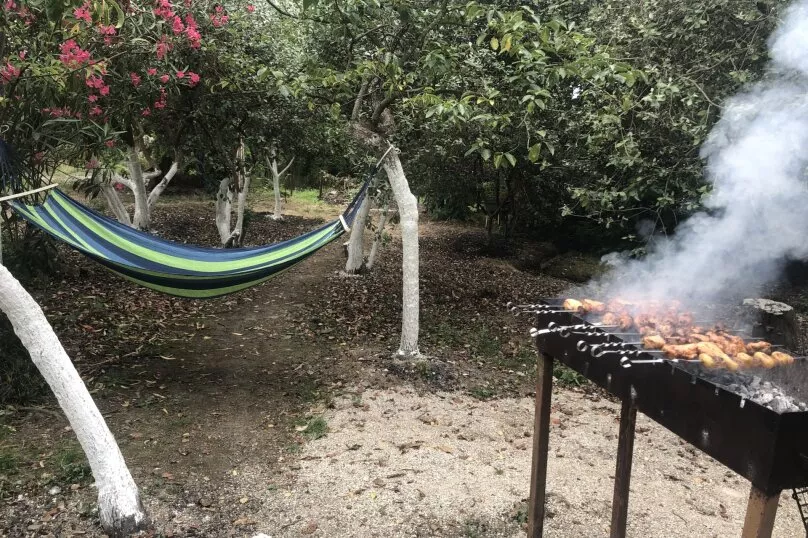 . Гостевой дом Олеандр. Гагра