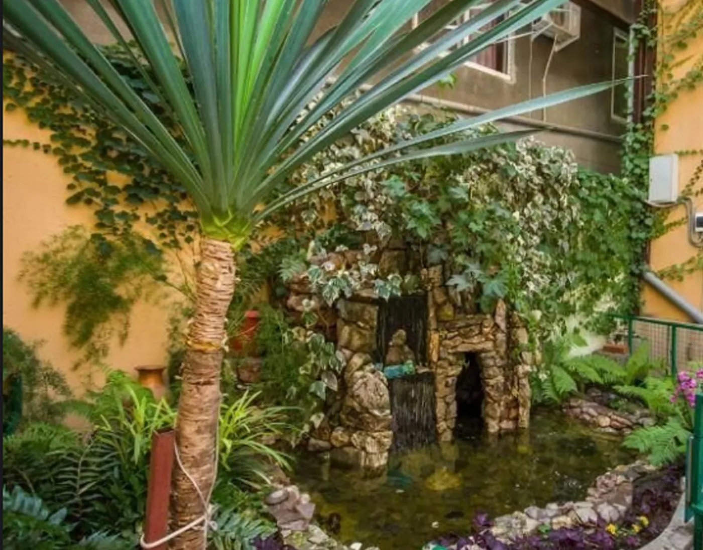 . Гостевой дом Светлана. Сочи