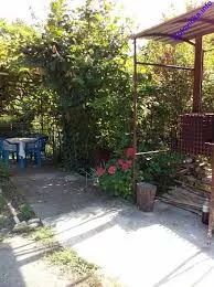 . Гостевой дом Ангелина. Головинка