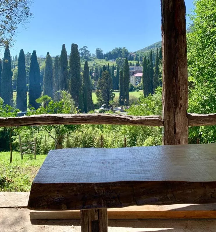 . Гостиница "Guest house Maslina". Новый Афон