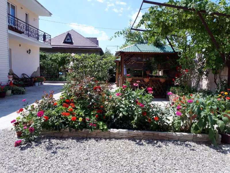 . Частный сектор У Андрея. Вишневка