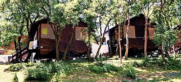 База отдыха "Арион" с палаточным городком