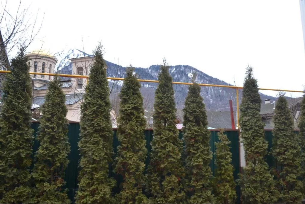 . Гостевой дом На Пчеловодов. Красная Поляна