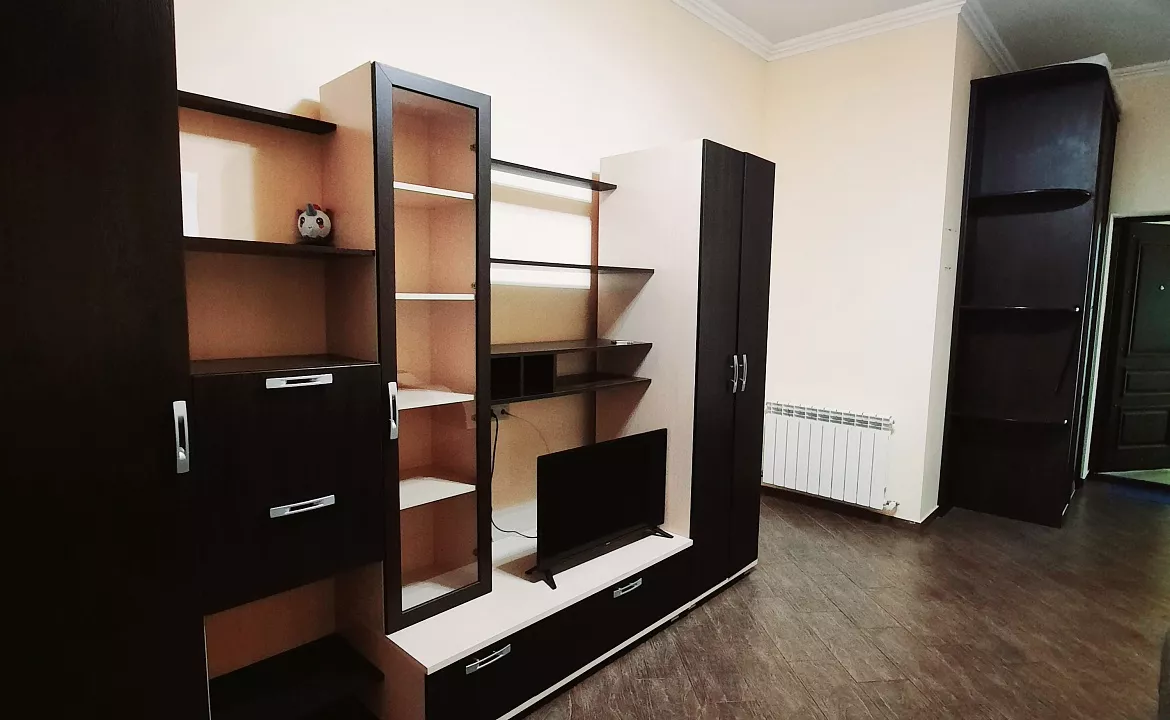 Двухкомнатные семейные апартаменты. Апартаменты для отдыха Сирус/Адлер. Адлер