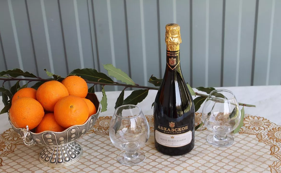 стандарт. Гостевой дом Золотая Рыбка - Гагра. Гагра