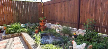 Частный сектор Полина