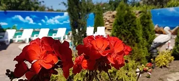 Частный гостевой дом Белиссимо Частный гостевой дом Белиссимо