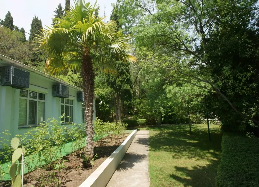 . Курортный отель "Пальмира Сад". Курпаты