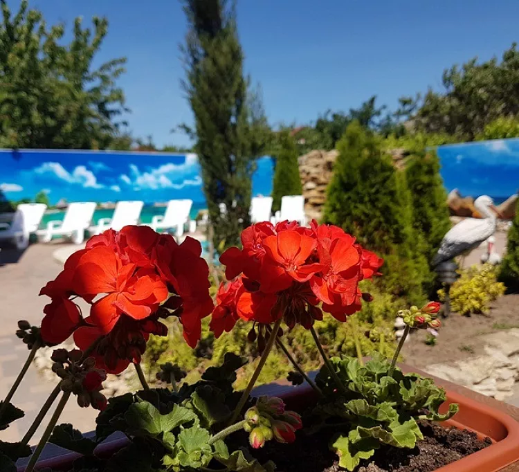 . Частный гостевой дом Белиссимо. Голубицкая . Частный гостевой дом Белиссимо. Голубицкая