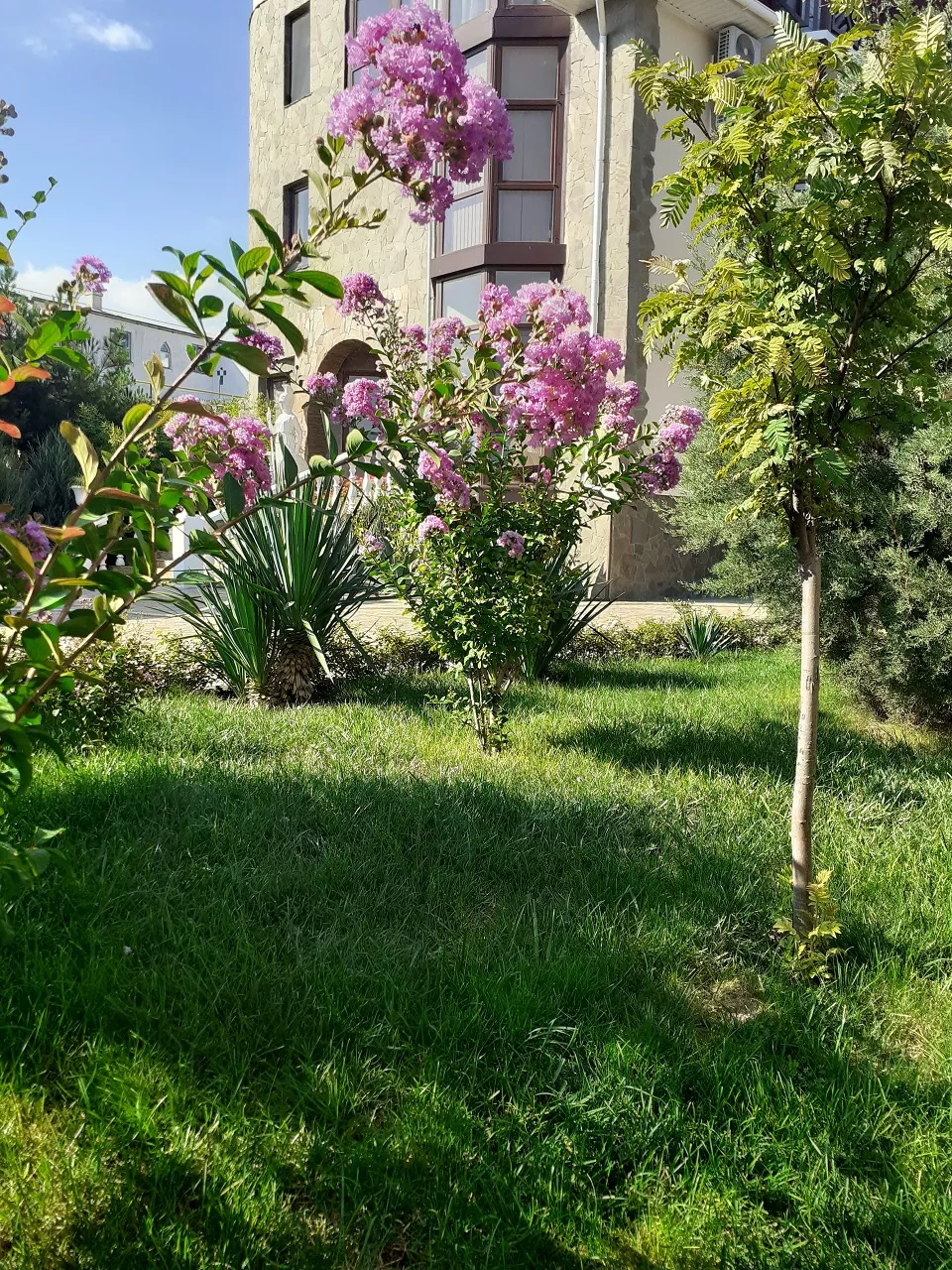 . Гостевой дом Sineva Del Sol. Судак