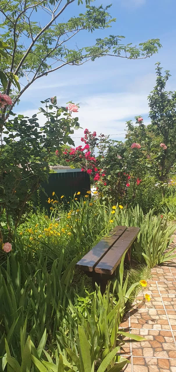 . Гостевой дом Дельфин - Новомихайловский. Новомихайловский