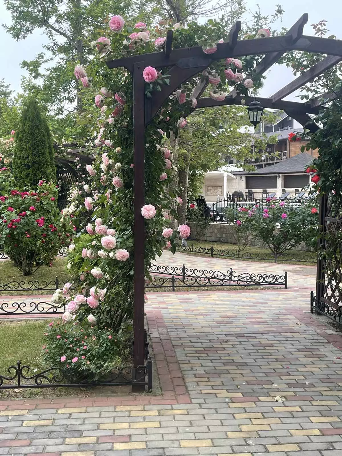 . База отдыха "Платан Resort". Витязево