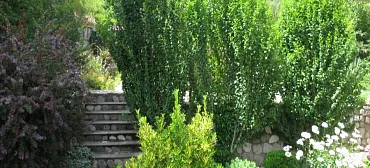 Гостевой дом "Нэста"