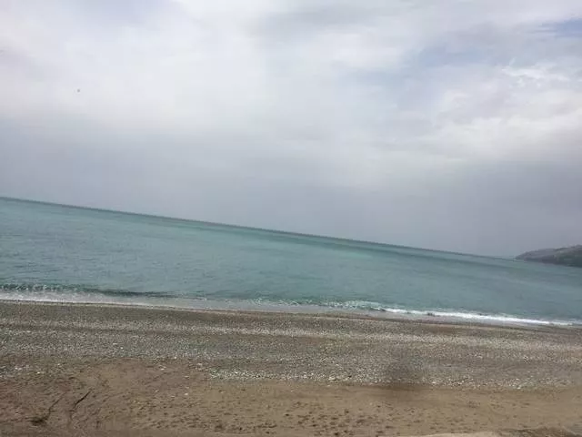 . Гостевой дом "Самир". Гагра