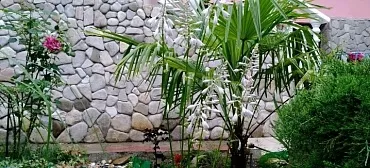 Частный сектор "Афина"