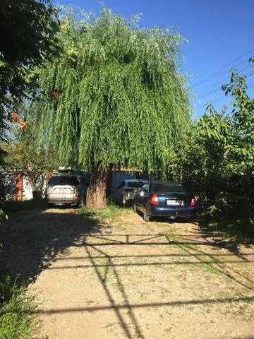 . Гостевой дом "У Константина". Джубга . Гостевой дом "У Константина". Джубга