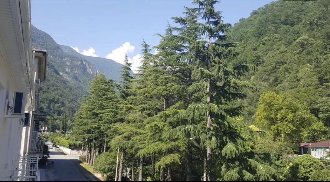 Пятиместный номер. Гостевой дом Горный ручей. Гагра