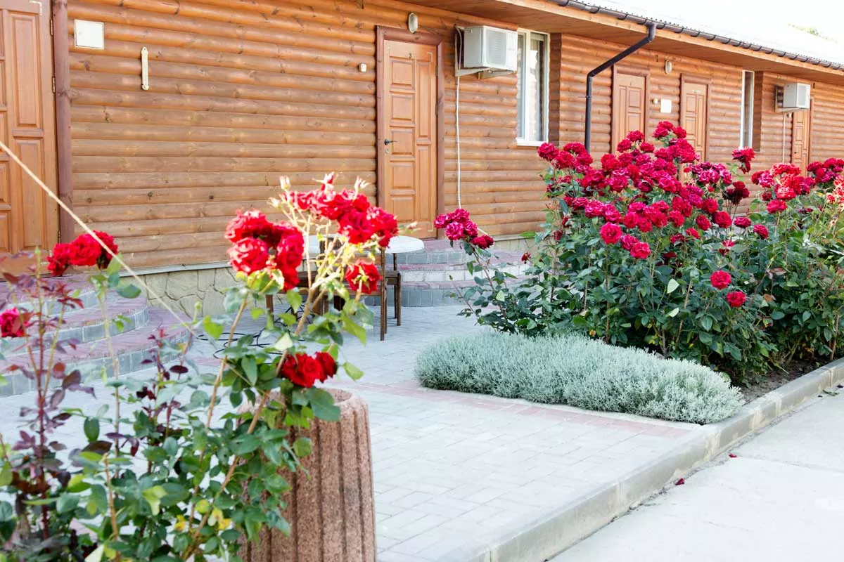 . База отдыха "Альтернатива". Береговое