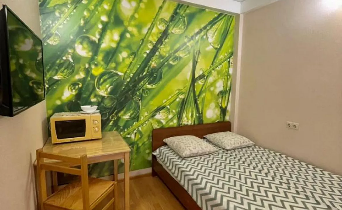 Двухместный номер с 1 кроватью. Гостевой дом "Муза". Адлер