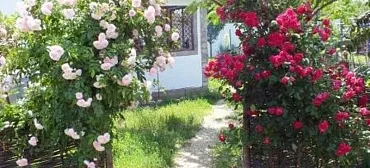 Дом под ключ На Комсомольской 25