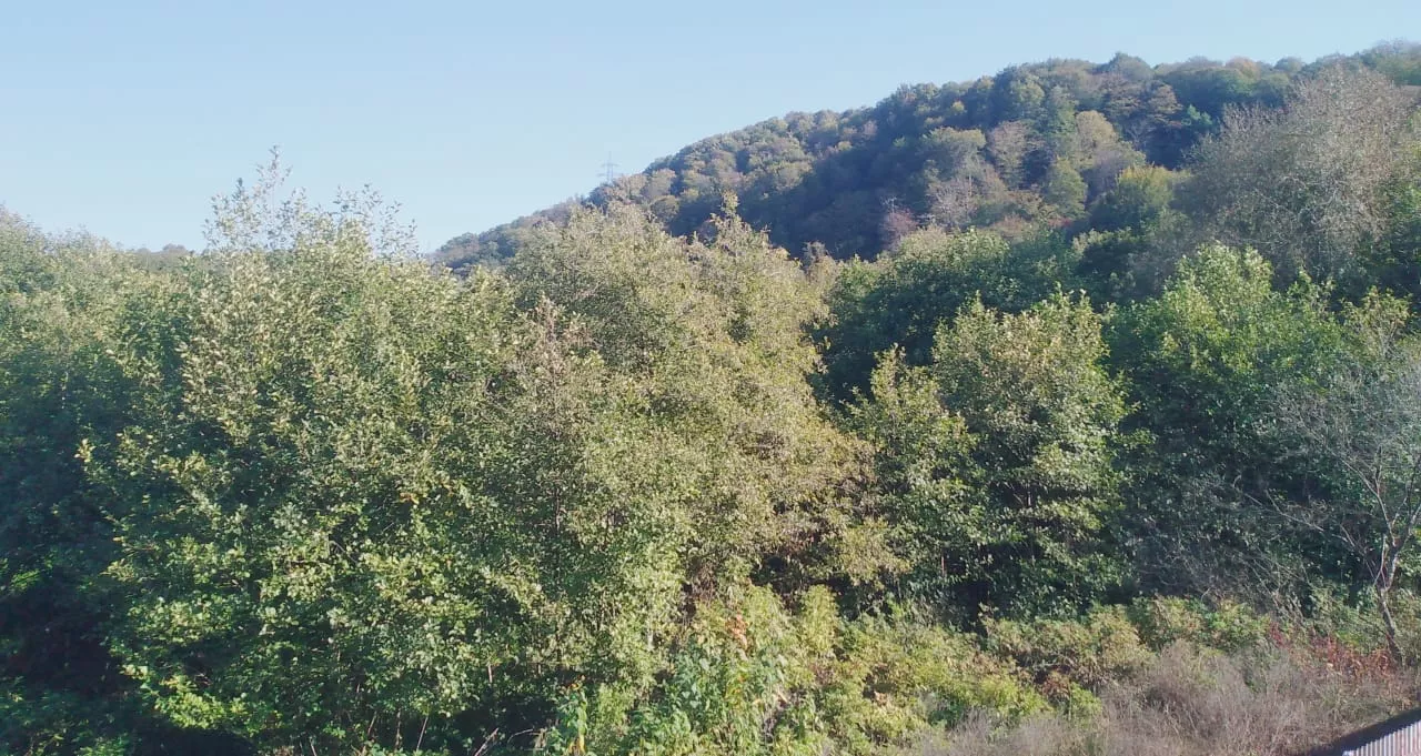 . Гостевой дом Вита. Якорная Щель