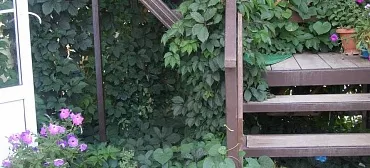 Гостевой дом "Семья" - Должанская