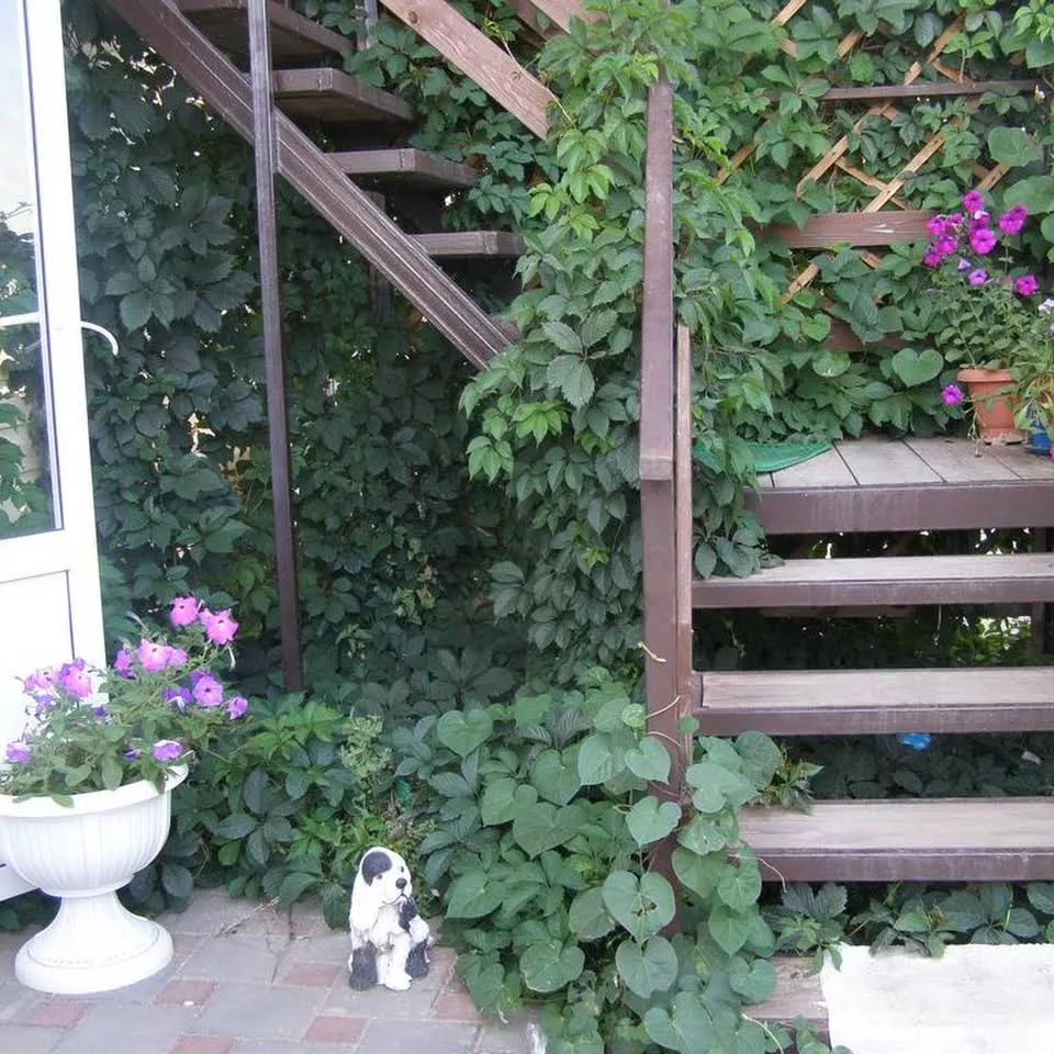 . Гостевой дом "Семья" - Должанская. Должанская